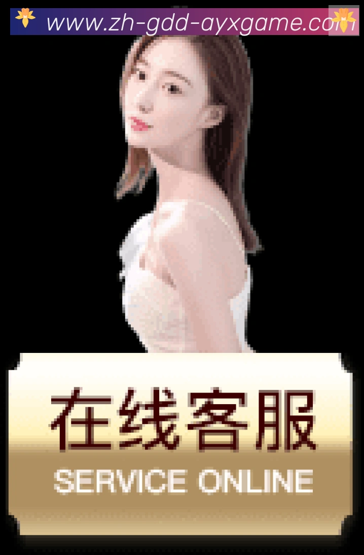 登录器